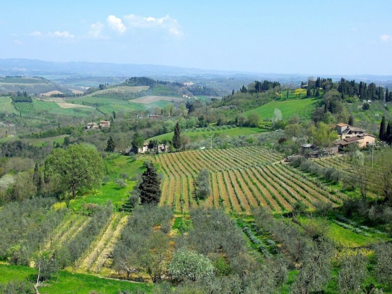 In vino veritas