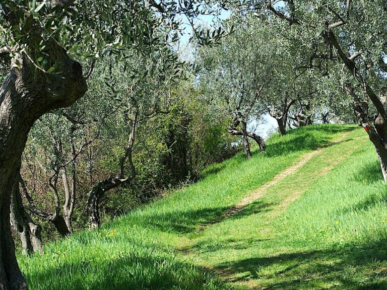 Wandern bei Florenz